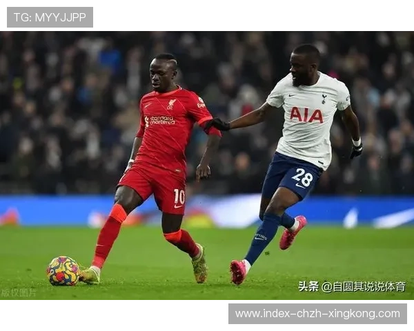 欧洲转会小市场抄底策略被证实经济效益显著